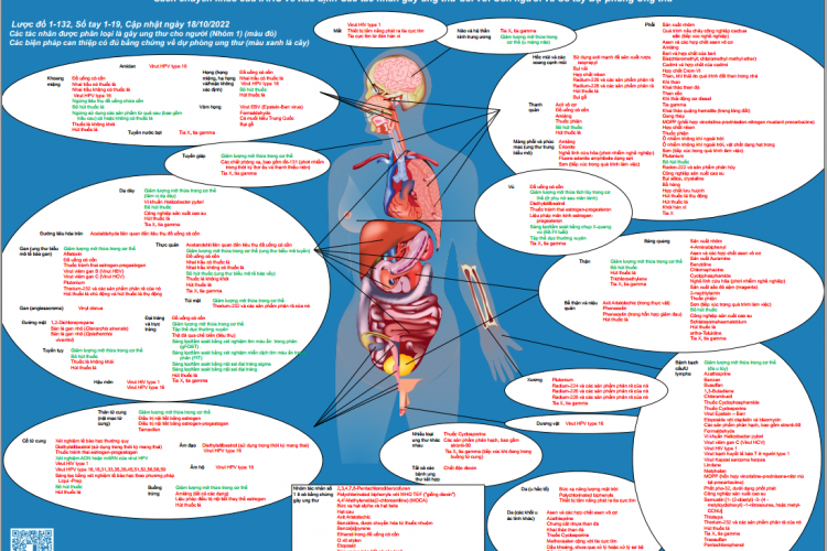 Infographic: Nguyên nhân và biện pháp dự phòng cho từng loại ung thư