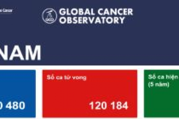 Tình hình bệnh ung thư tại Việt Nam theo GLOBOCAN 2022